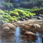 Arbres - Anuario 2025