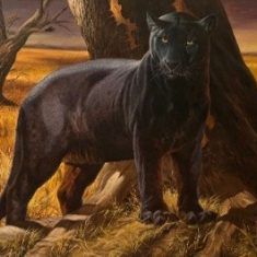 CHARLY, LA PANTERA NEGRA