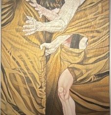 SERIE PLIEGUES Y CUERPOS VI