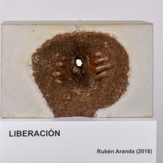 LIBERACIÓN II