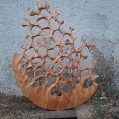 CORALL VEGETAL – Fusta de pí