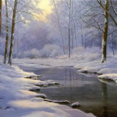 REFLEJOS DE UN SOL ESCONDIDO