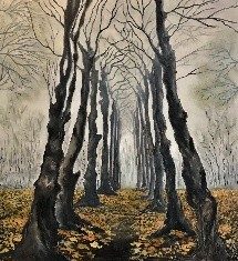 CAMÍ ARBRAT