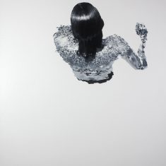 SHIRAHA – Ploma blanca