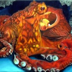 PULPO GIGANTE,