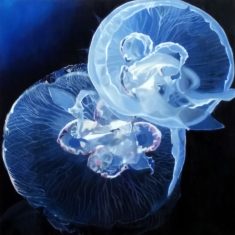 COLLISION IN THE DEEP OCEAN