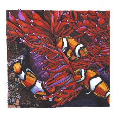 PECES PAYASOS