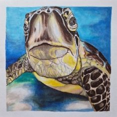 SEA TURTLE
