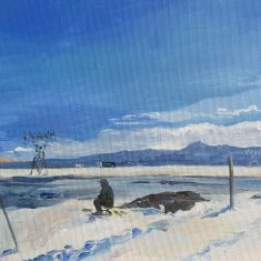 EL PARQUE DE INVIERNO