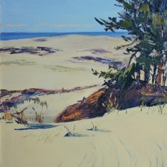 CURONIAN SPIT. BRIGHT DAY