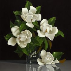 MAGNOLIA