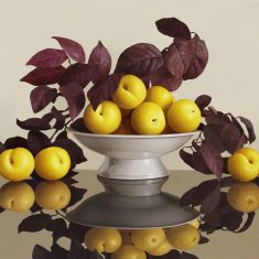 CIRUELAS  HOJAS PRUNUS