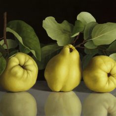 MEMBRILLOS 3 (FONDO OSCURO)