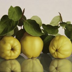 MEMBRILLOS 3 (FONDO CLARO)