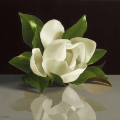 MAGNOLIA