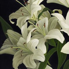 LILIUM I