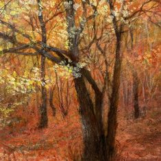 PAISAJE DE OTOÑO I