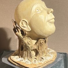 ENVOLTAT PER LA NATURA