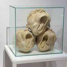 ATRAPATS EN EL DESENCONTRE