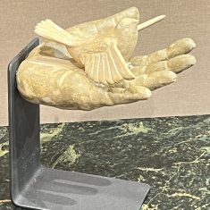 EN LA MÃ€ LLIBERTAT