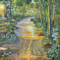CAMÍ DEL PINAR