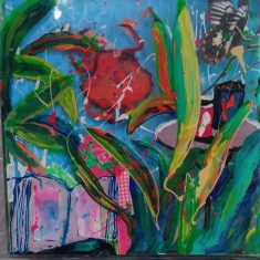 NÃ‰CORA PARA LA SOPA