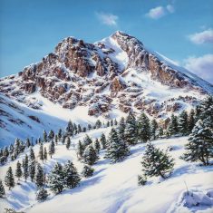 EL GRA DE FAJOL NEVAT – VALTER