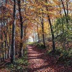 TARDOR A LES ROQUES ENCANTADES-S.FELIU PALLEROLS