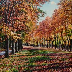 TARDOR AL PASSEIG MARISTANY- CAMPRODON