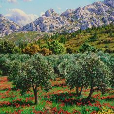 GALLARETS A LES APILLES – PROVENÇA