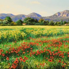 PRIMAVERA AL MONTGRÍ