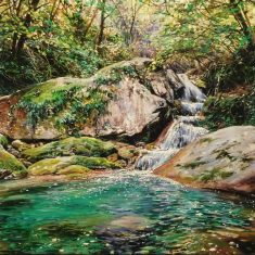 GORG DEL GURN-LA VALL D’EN BAS
