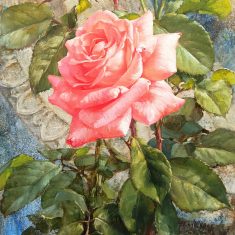 COMPOSICION CON ROSAS