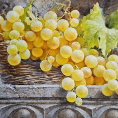 LA CESTA CON MOSCATEL